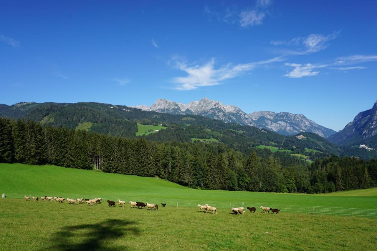 Appartement Winteraugut Werfen Exterior foto